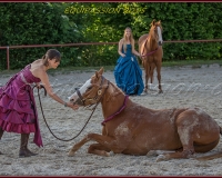 2-13JUIN 0628